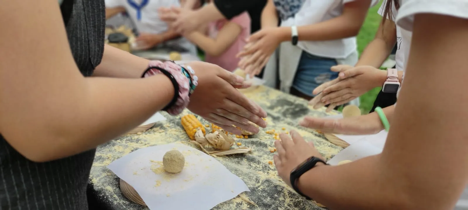 Actividad de talos en un centro educativo